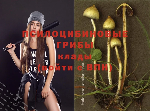 прущие грибы Верхнеуральск