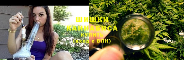 apvp Верея