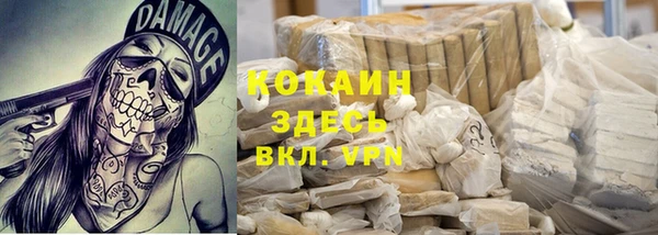 крисы Богданович