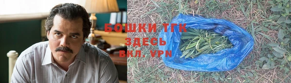 apvp Белокуриха